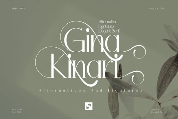 Gina Kinari: A Serif That Speaks With Quiet Authority